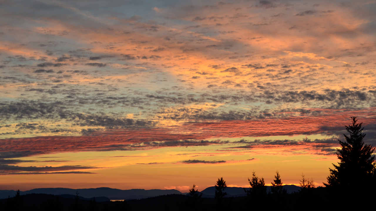 sunset on the farm